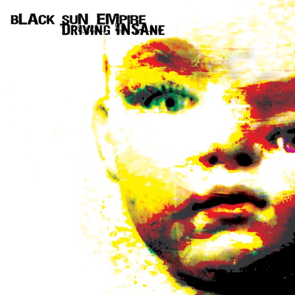 Driving Insane cover art